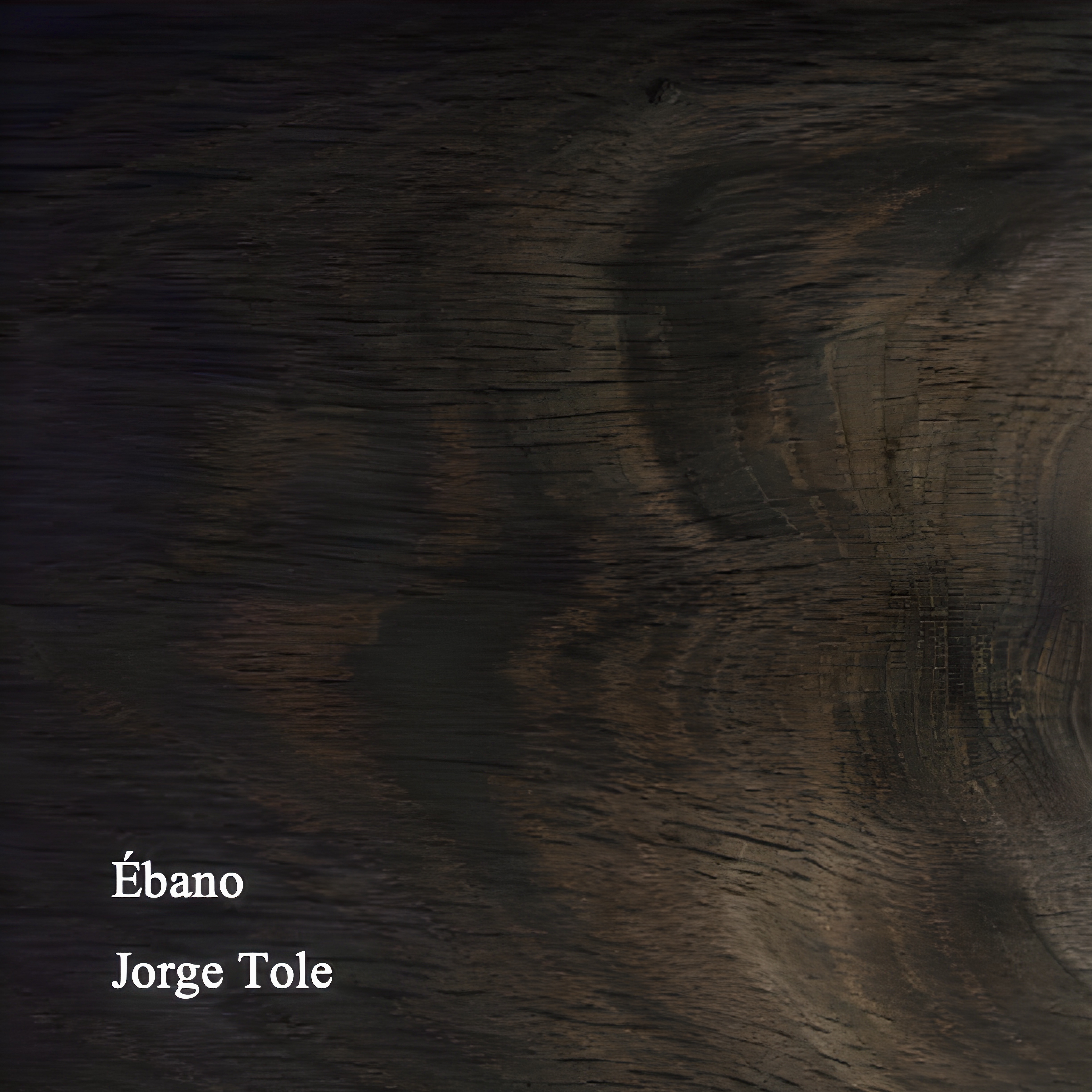 Portada Ébano - Jorge Tole